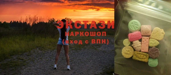 ECSTASY Богородицк